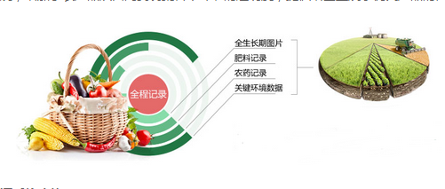  化妆品一物一码作用,一物一码效果