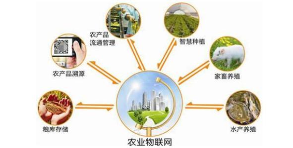 农产品一物一码防窜货,农产品防窜货,一物一码防窜货